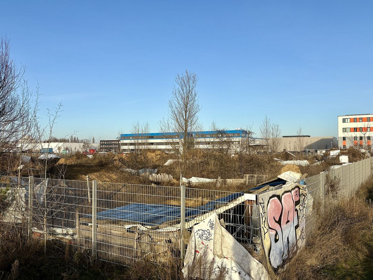 Einfache BMX-Anlage mit Erdhügeln und Holzrampe am Rand einer Stadt