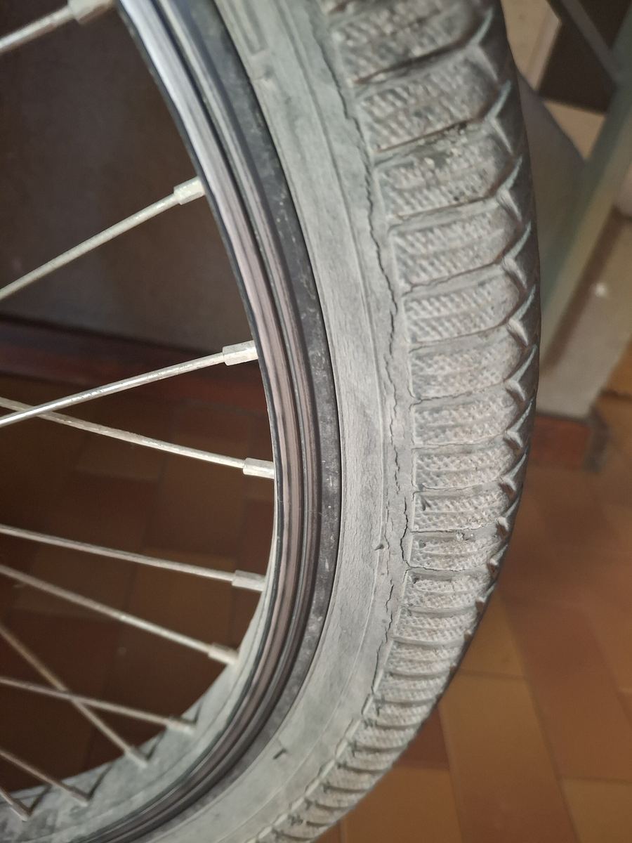 Nahaufnahme eines BMX-Reifens mit Profil an einem Hinterrad mit Speichen