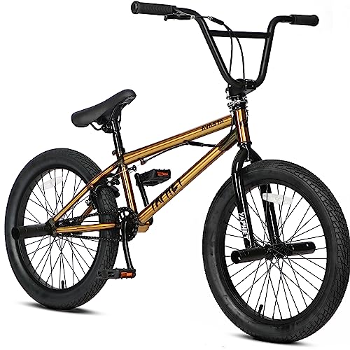 AVASTA 20 Zoll Kinderfahrrad Freestyle BMX Fahrräder für 6 7 8 9 10 11 12 13 14 Jahre alte Jungen und Anfänger Fahrer mit Heringen, Gold