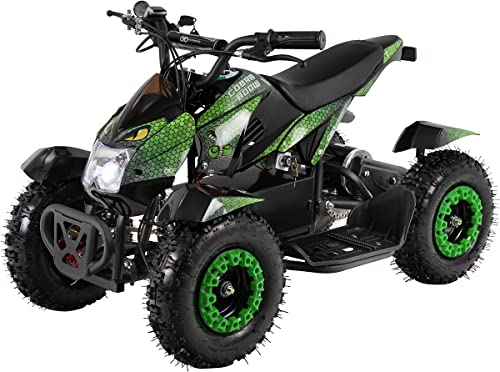 Mini Kinder Elektro Quad ATV Cobra 𝟴𝟬𝟬 Watt 36 V Pocket Quad - Original Actionbikes Motors - Safety Touch - 3 Geschwindigkeitsstufen - Kinder Bike (Grün/Schwarz)
